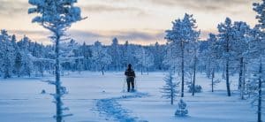 Snölandskap