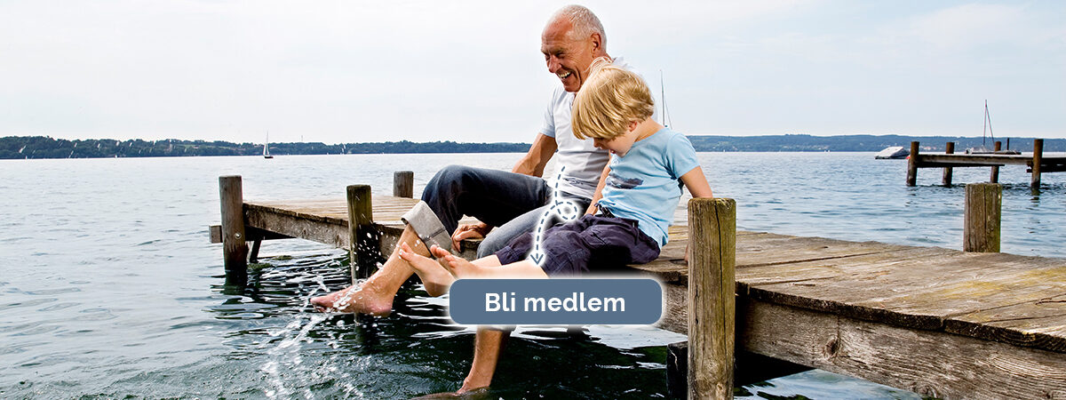 Vad är demens? Information, råd och stöd - Demensförbundet
