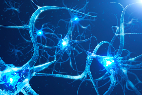 Australien säger ja till Leqembi