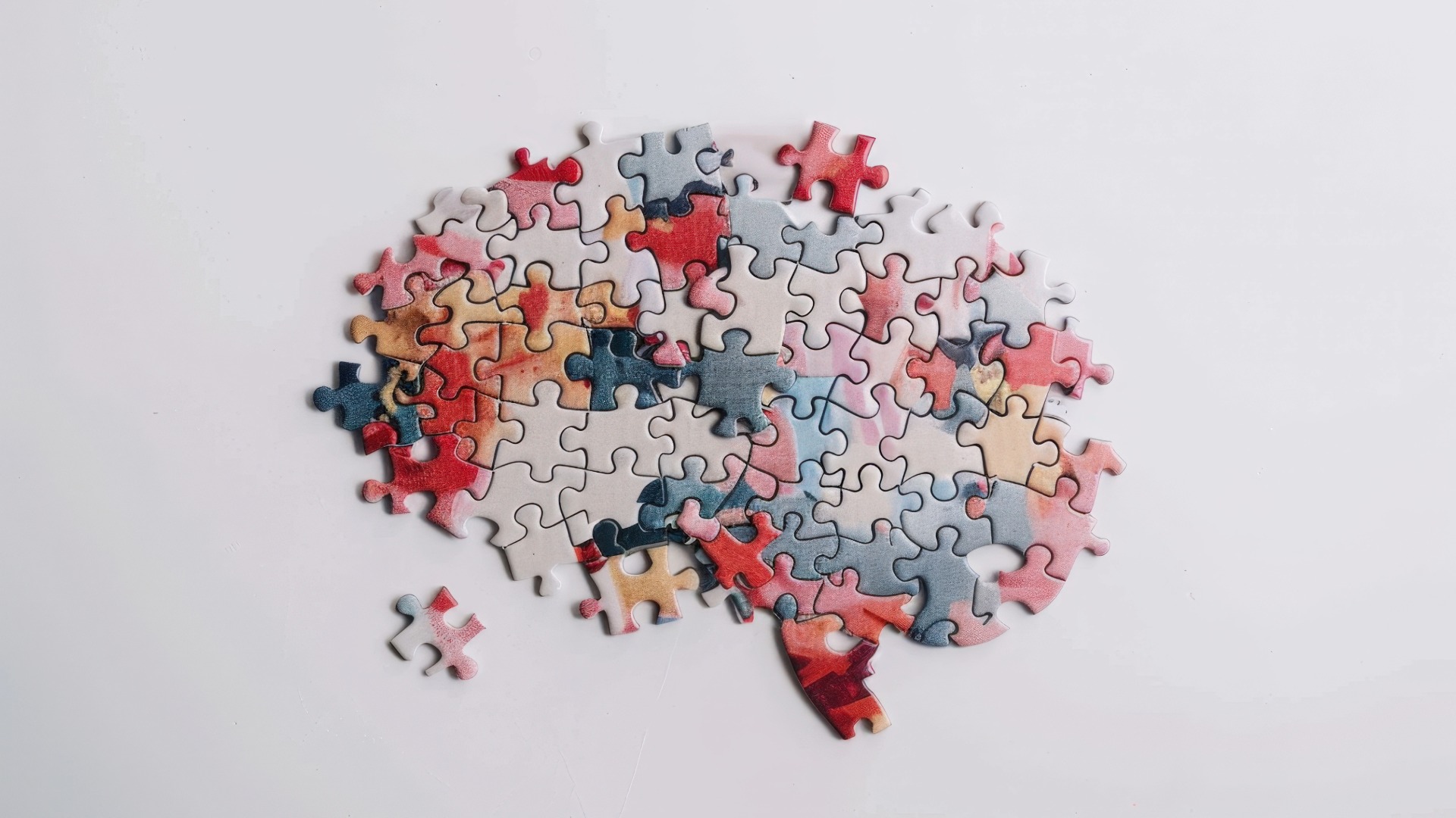 Beviljade projekt 2024