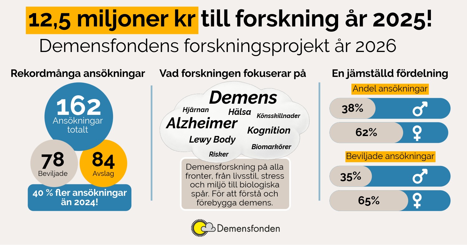 Beviljade projekt 2025 Infografik