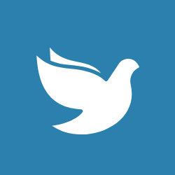 Bild på en duva mot blå bakgrund